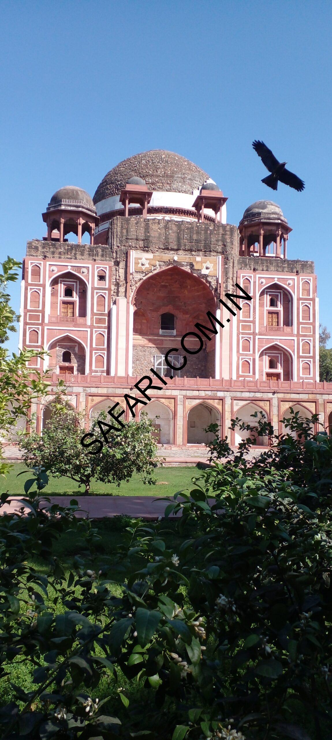 All images are Copyright Protected.