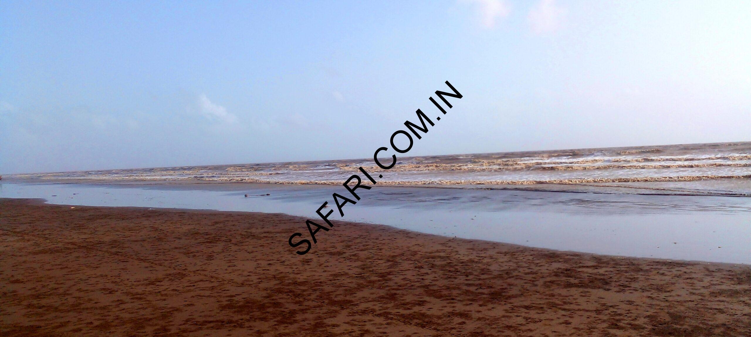 All images are Copyright Protected. All images are Copyright Protected.