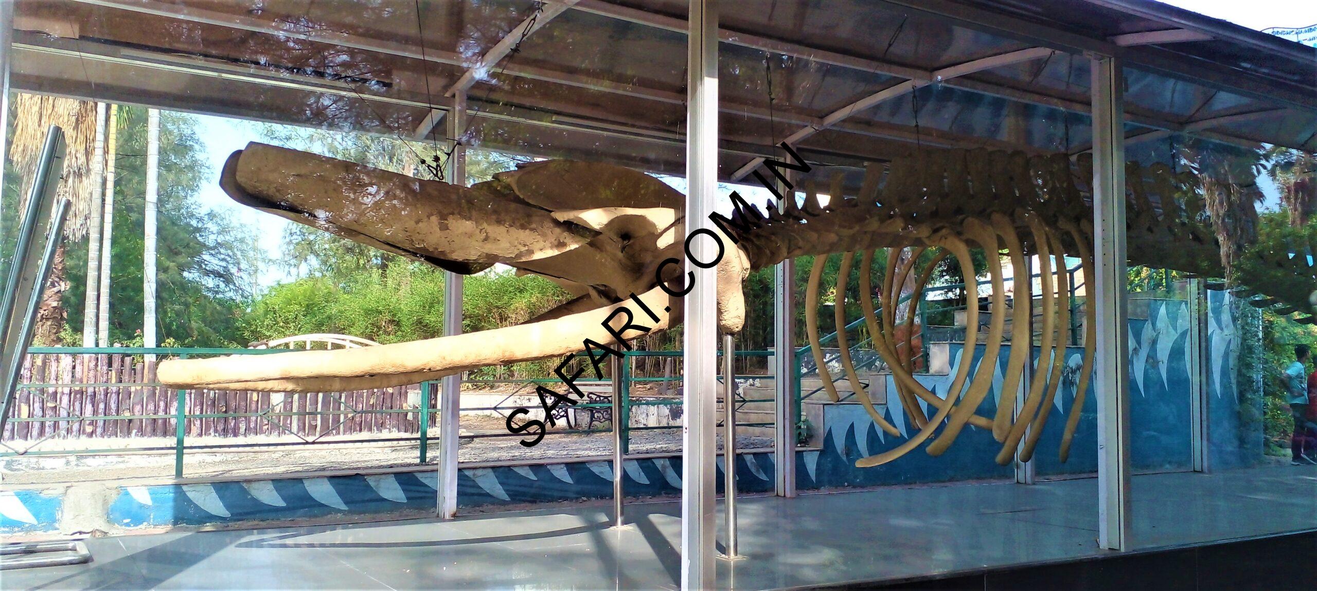 All images are Copyright Protected. All images are Copyright Protected.