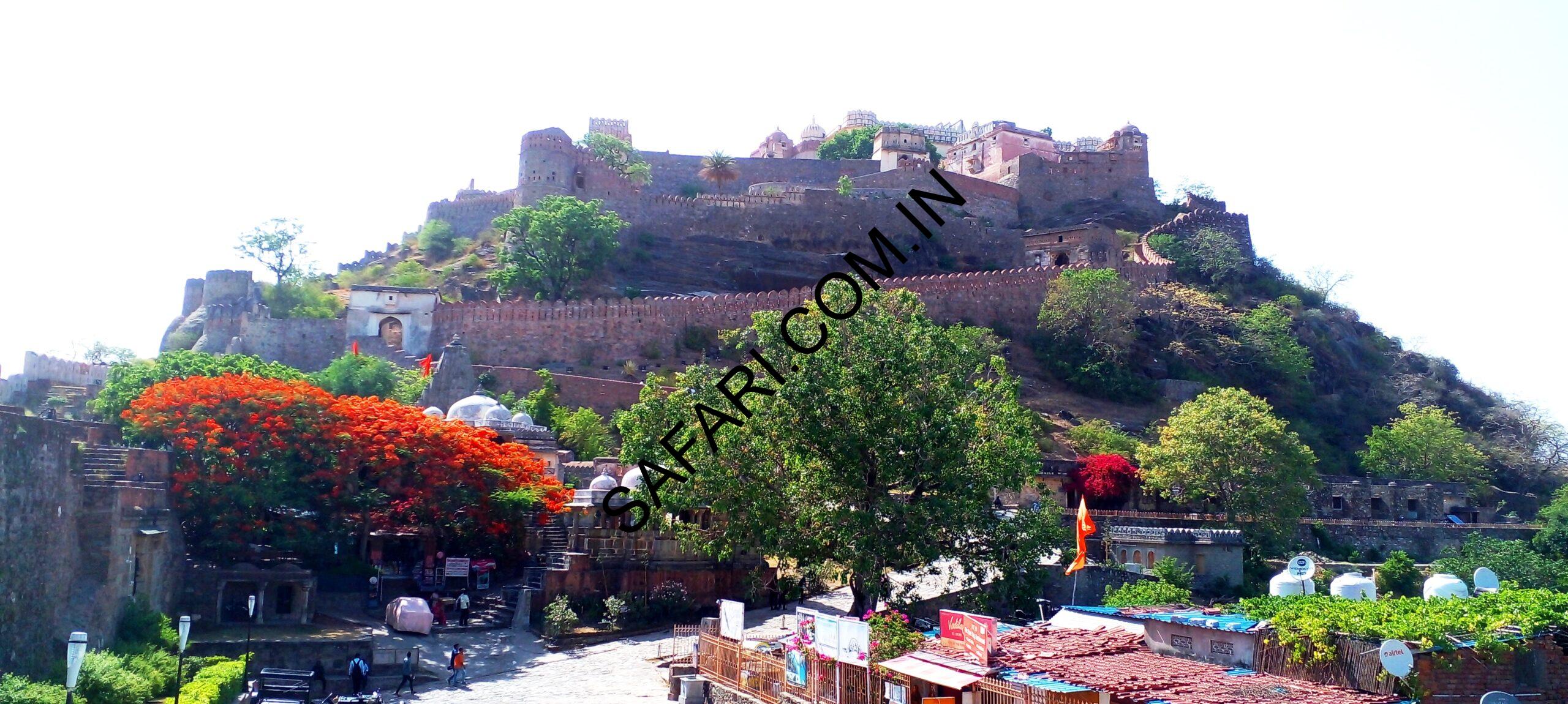 All images are Copyright Protected.