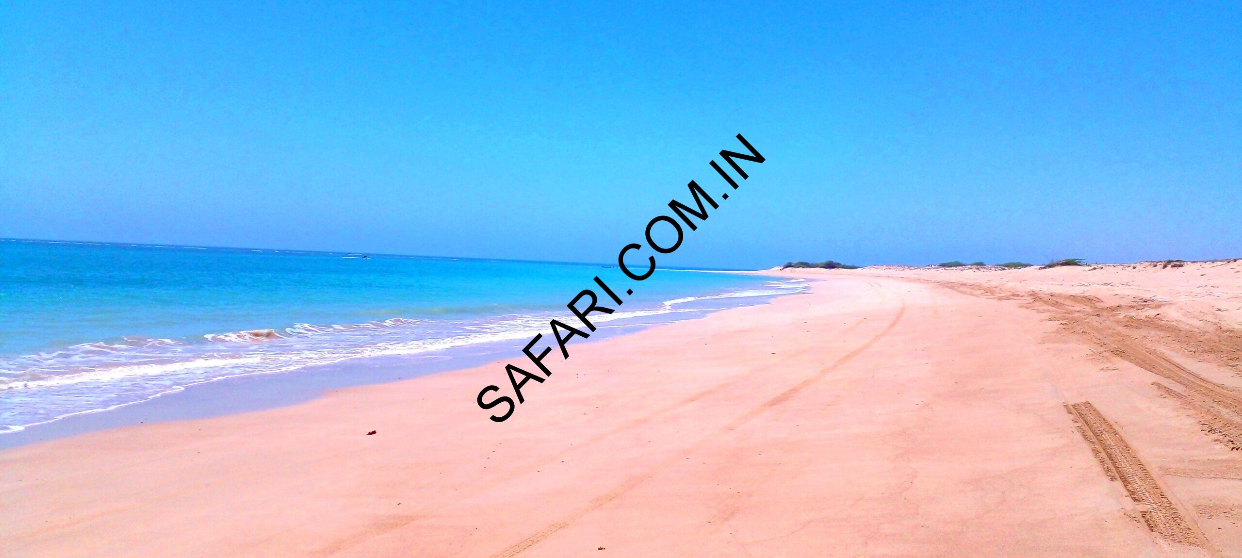 All images are Copyright Protected.