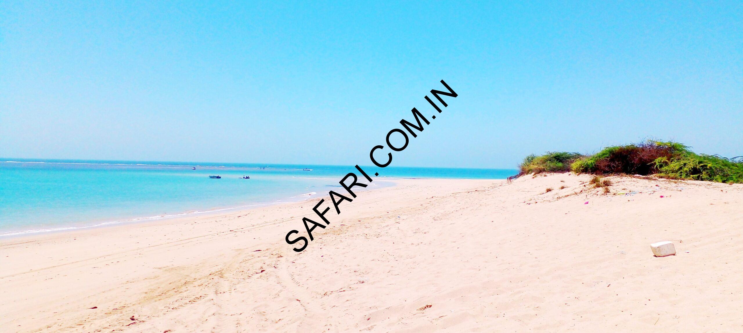 All images are Copyright Protected.