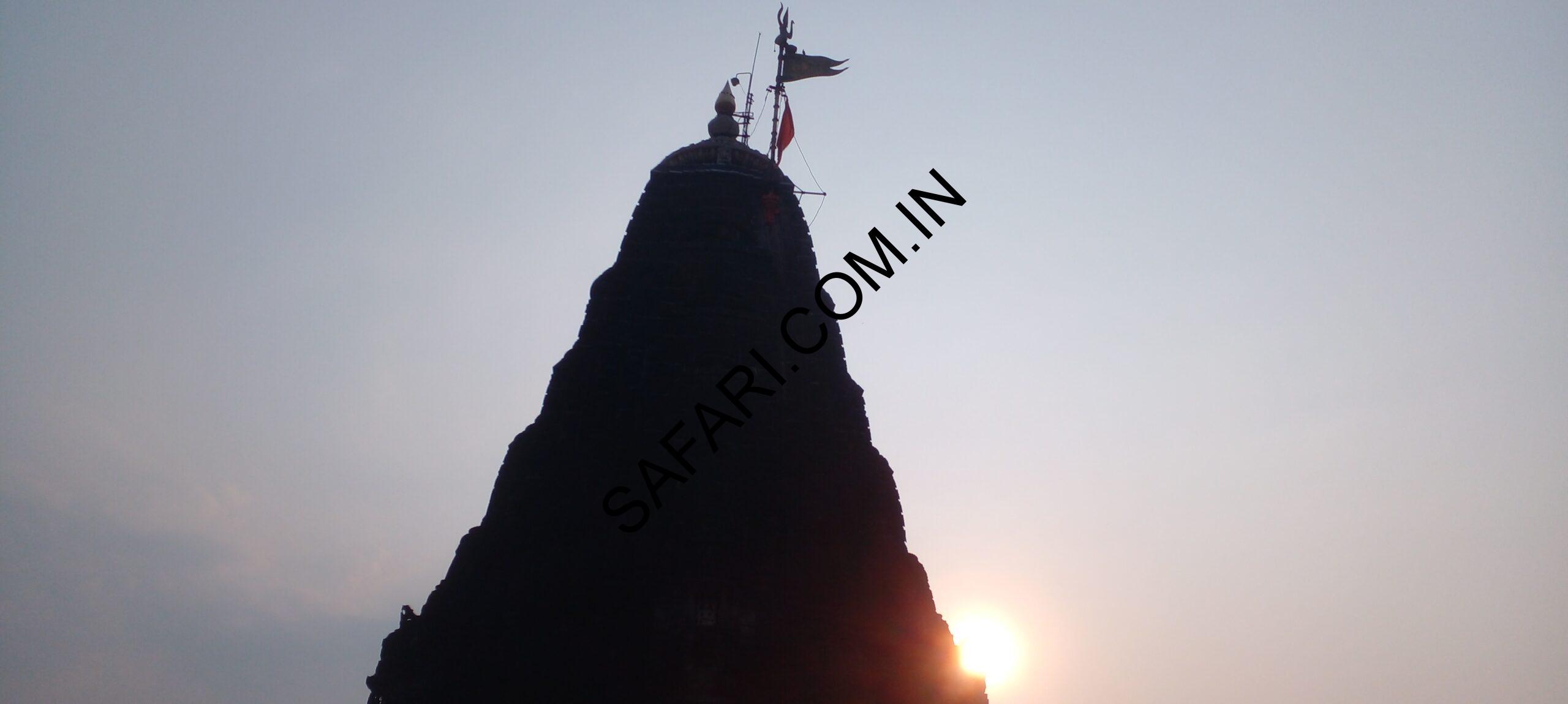 All images are Copyright Protected. All images are Copyright Protected.