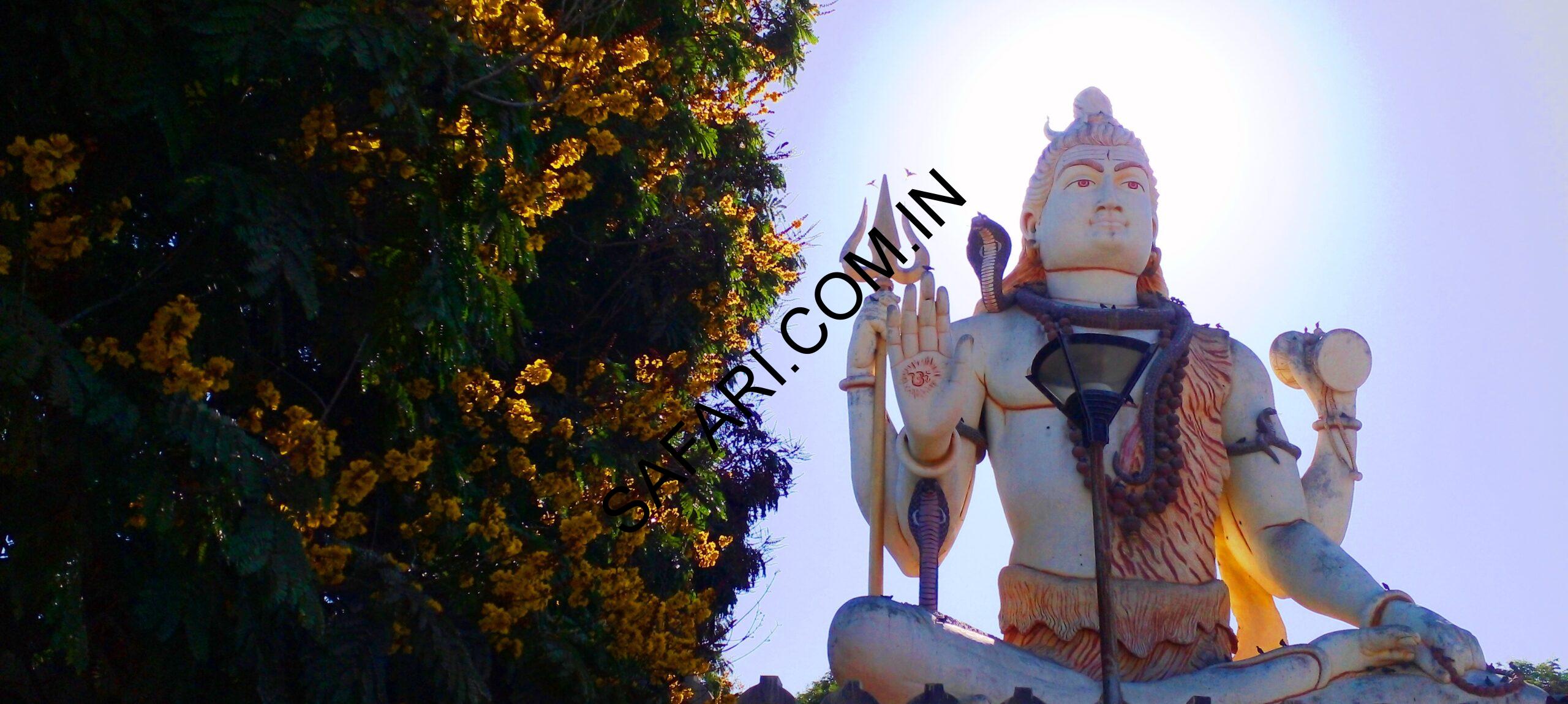 All images are Copyright Protected. All images are Copyright Protected.