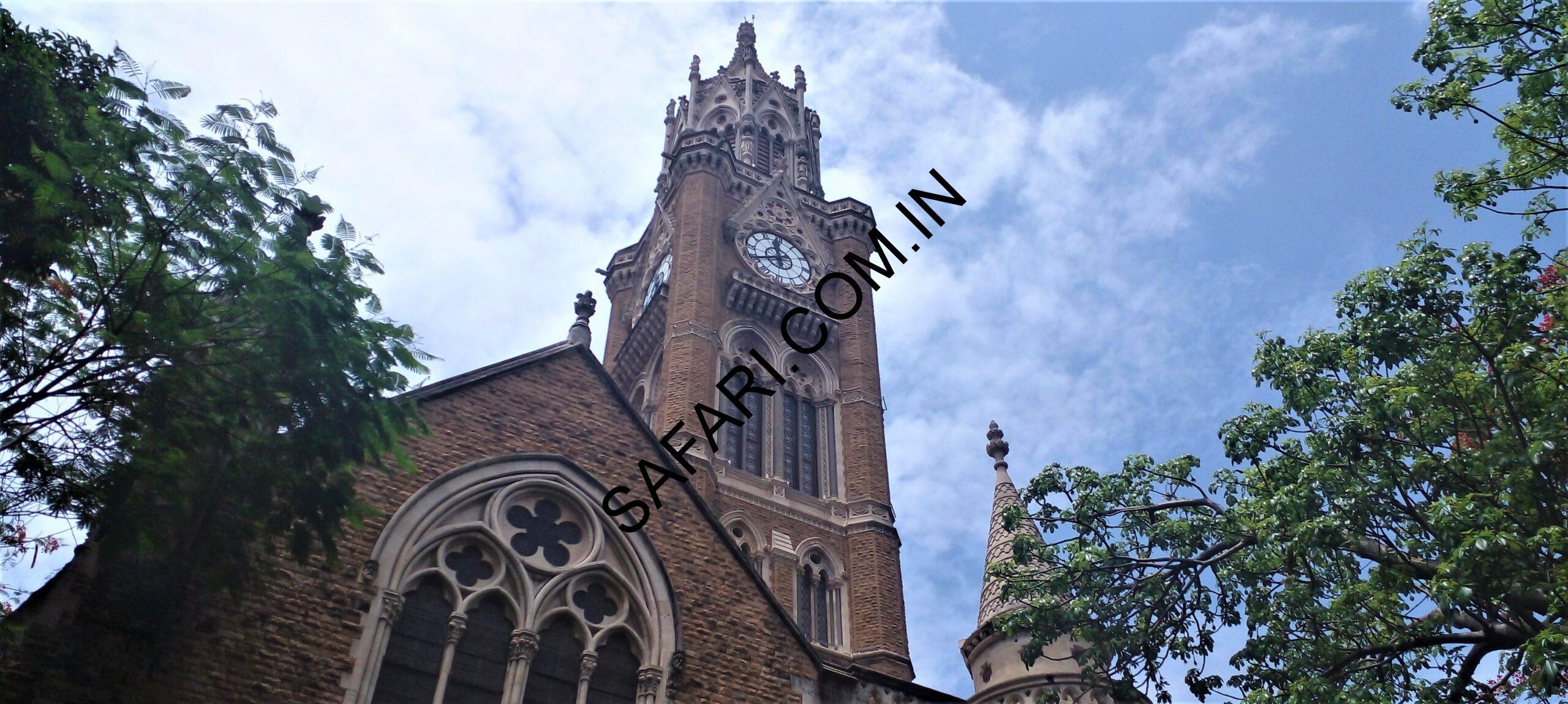 All images are Copyright Protected.