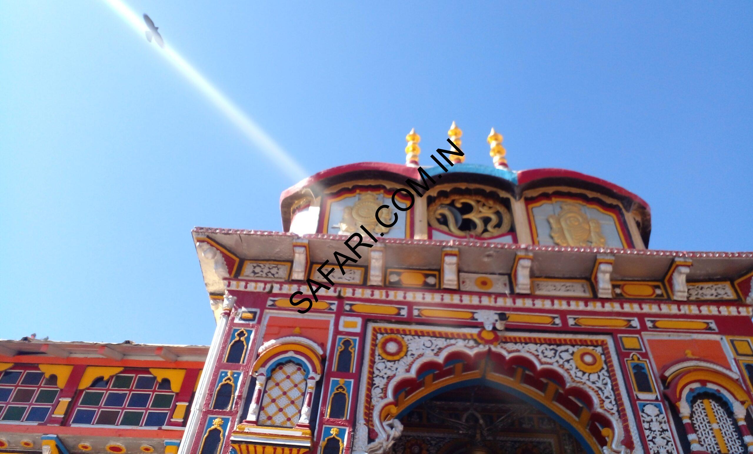 All images are Copyright Protected. All images are Copyright Protected.