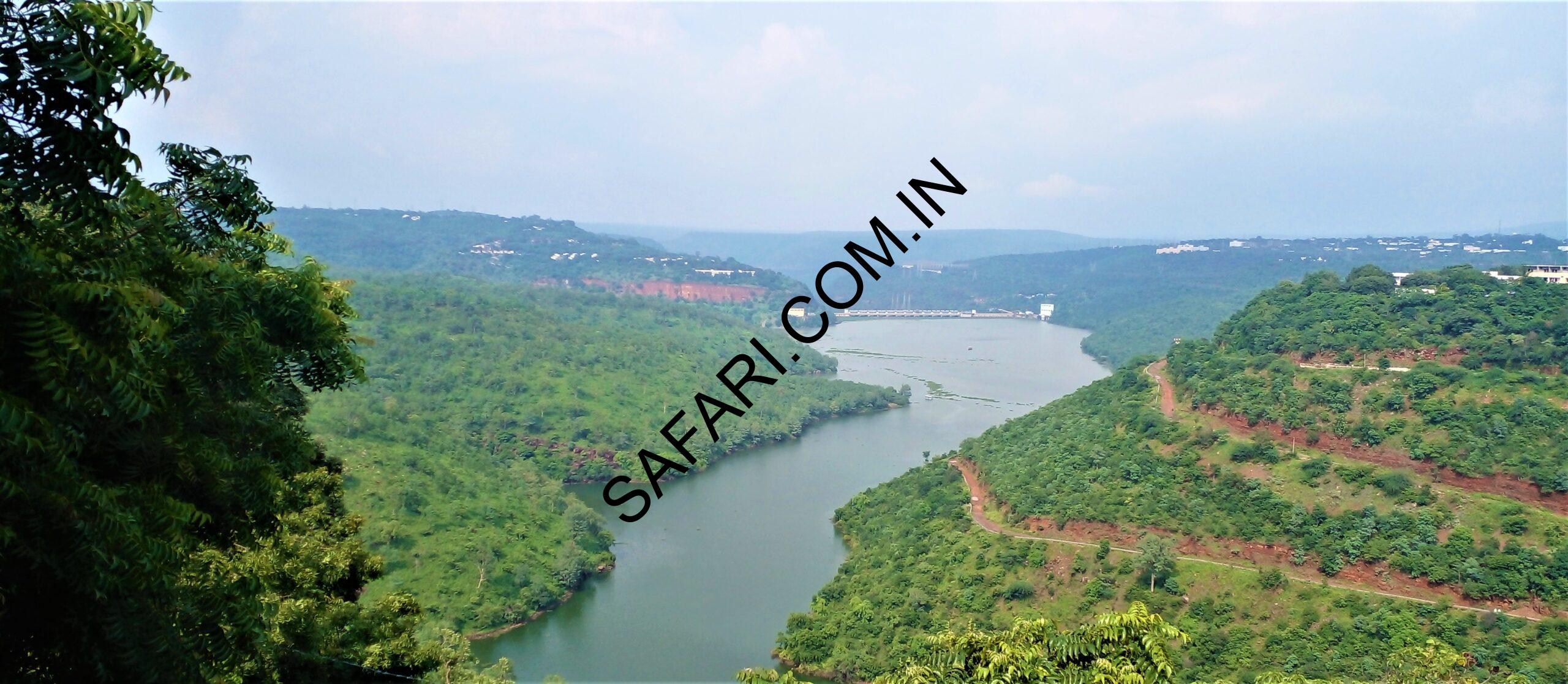 All images are Copyright Protected. All images are Copyright Protected.